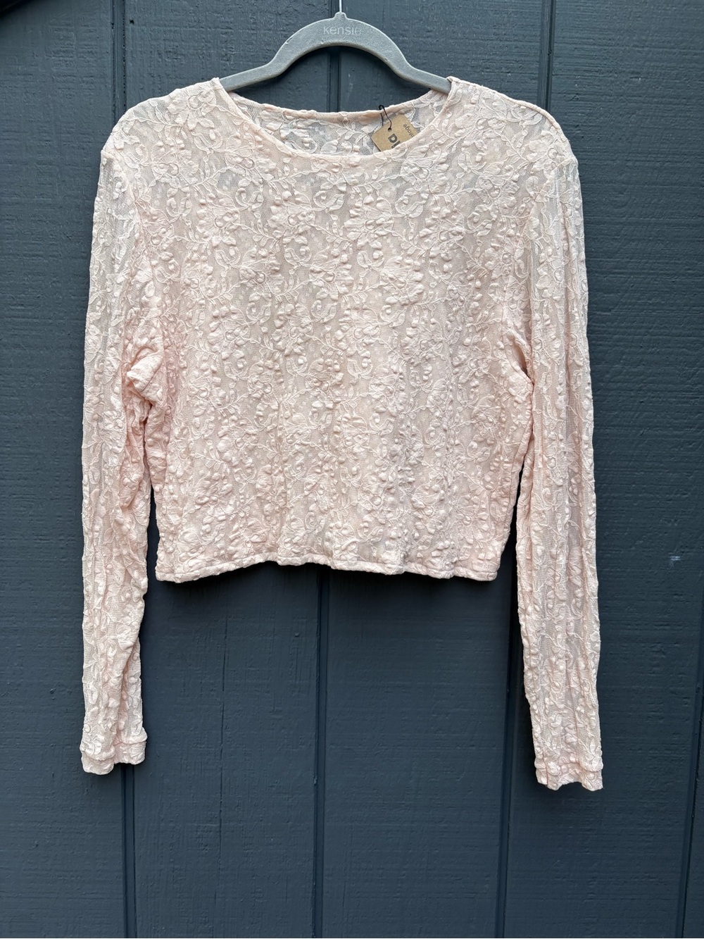 Vintage Pale Pink Lace Long-Sleeve Crop Top